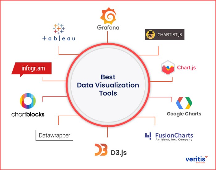 Using Data Visualization Tools