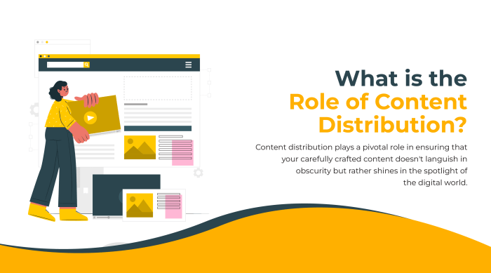 Understanding Content Distribution